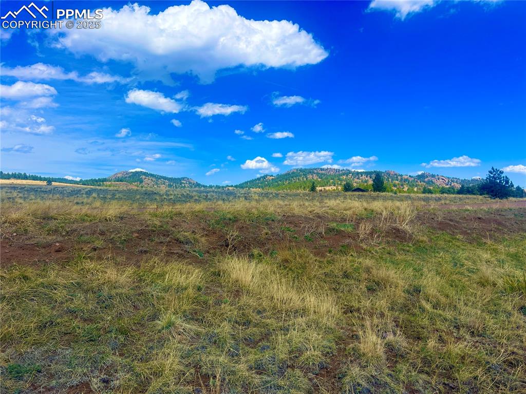 90 Meadow Lane Guffey CO 80820