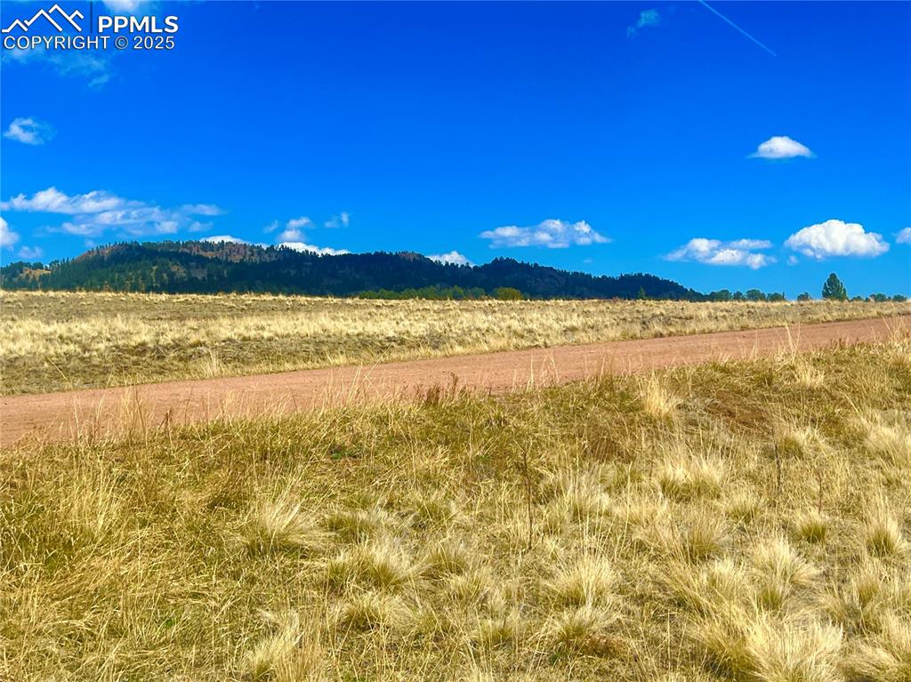 90 Meadow Lane Guffey CO 80820