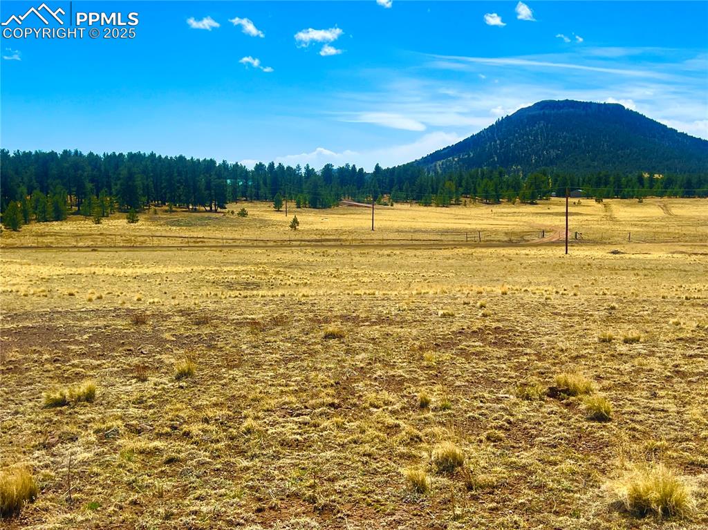 90 Meadow Lane Guffey CO 80820