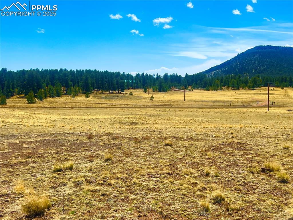 90 Meadow Lane Guffey CO 80820