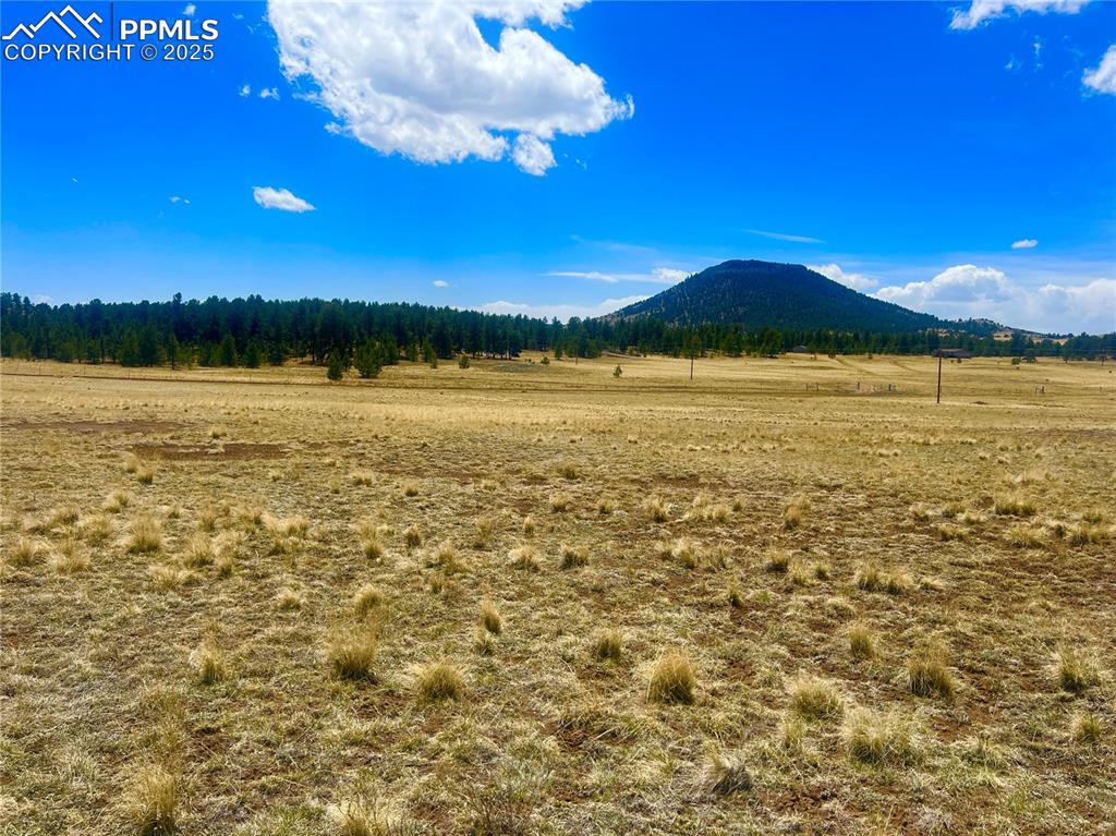 90 Meadow Lane Guffey CO 80820
