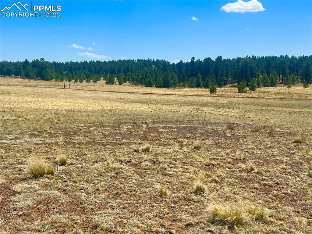 90 Meadow Lane Guffey CO 80820