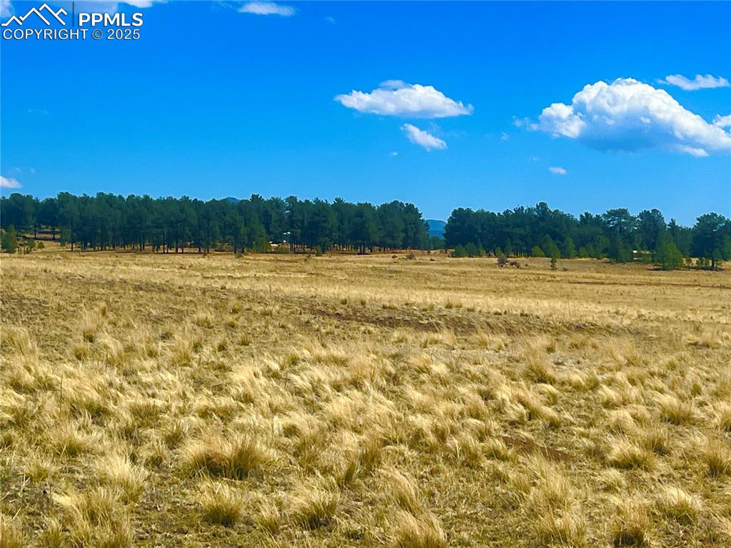 90 Meadow Lane Guffey CO 80820