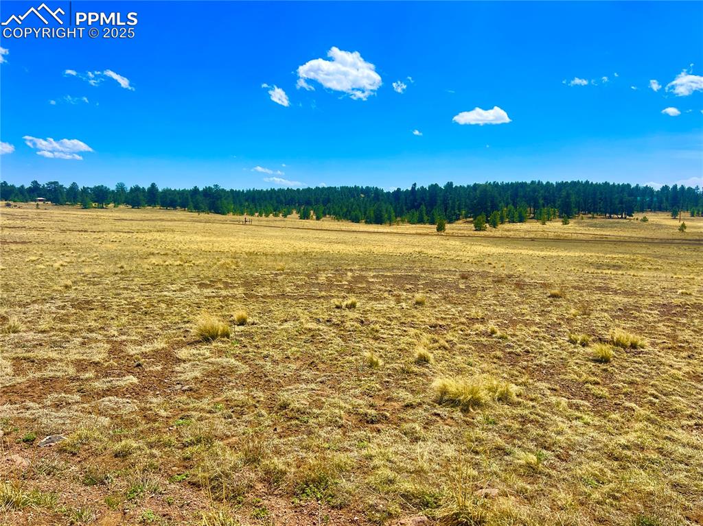 90 Meadow Lane Guffey CO 80820