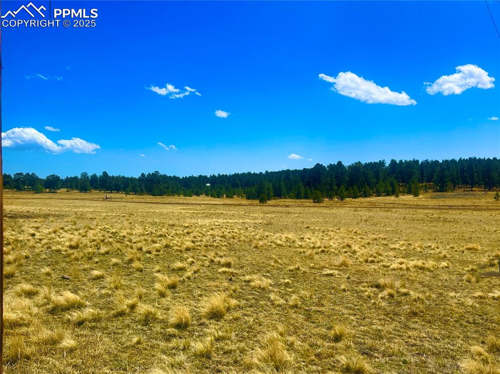 90 Meadow Lane Guffey CO 80820