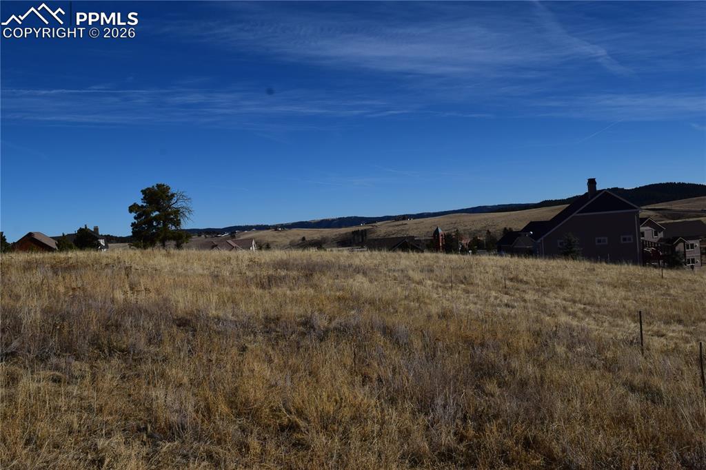 108 Allison Place Divide CO 80814