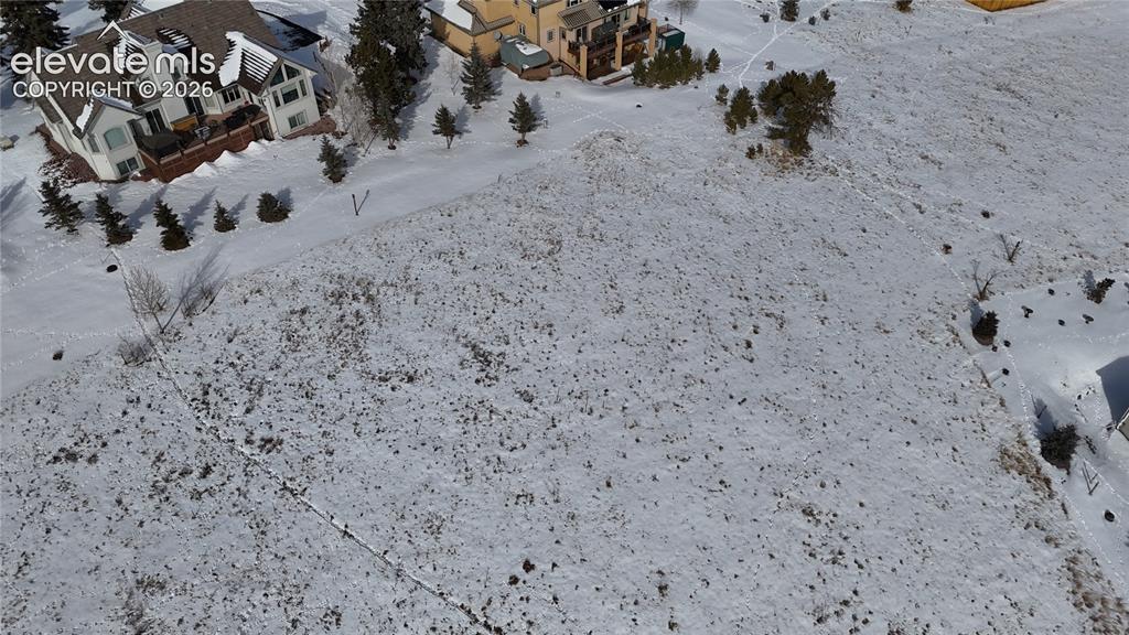 108 Allison Place Divide CO 80814