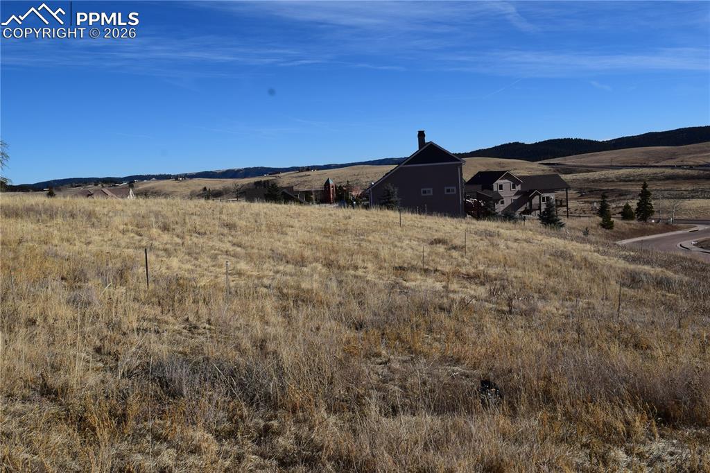 108 Allison Place Divide CO 80814