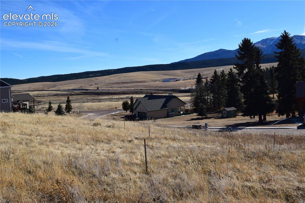 108 Allison Place Divide CO 80814