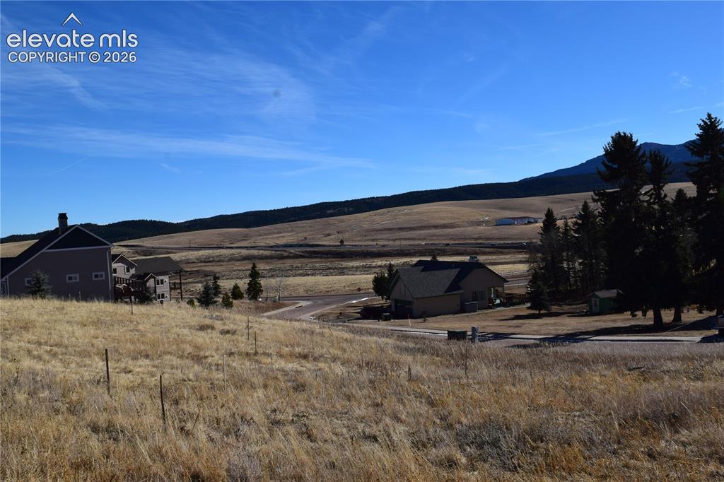 108 Allison Place Divide CO 80814