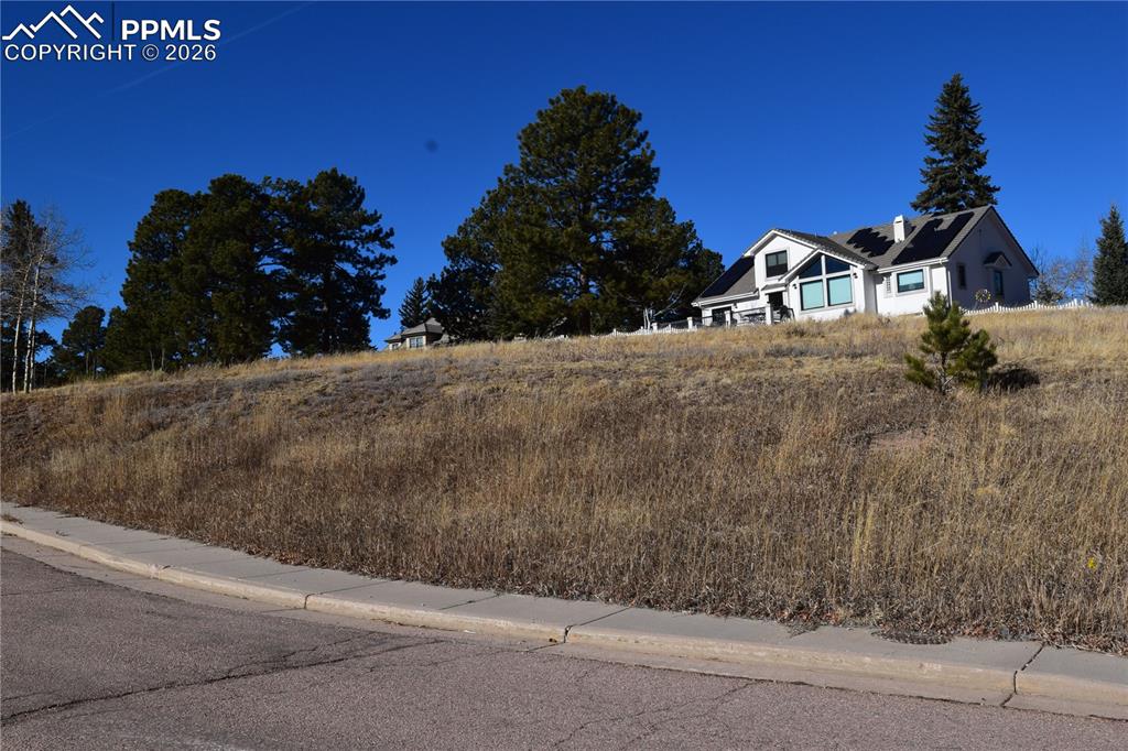 108 Allison Place Divide CO 80814