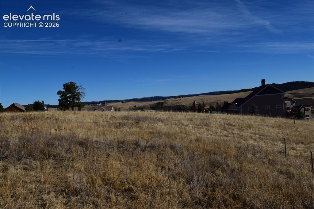 108 Allison Place Divide CO 80814