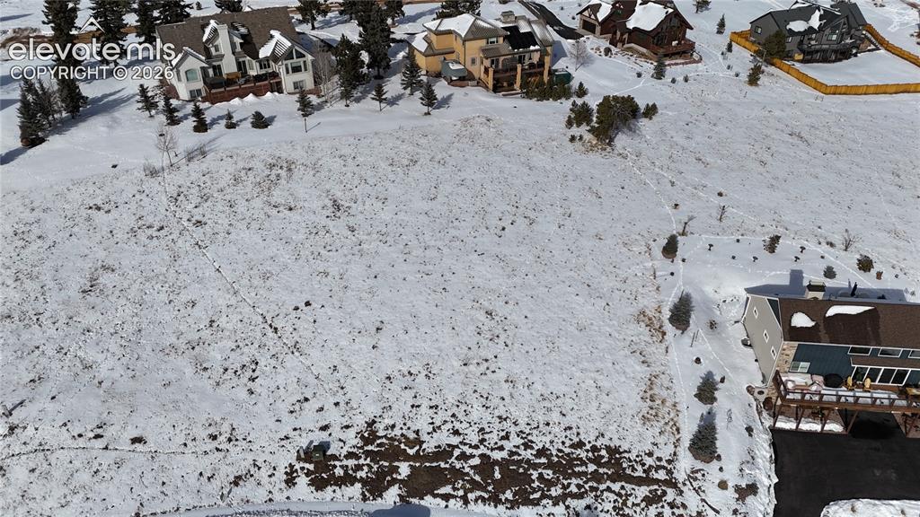 108 Allison Place Divide CO 80814