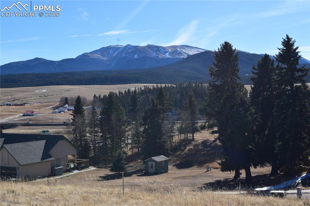 108 Allison Place Divide CO 80814