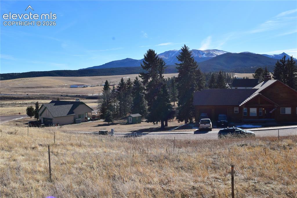 108 Allison Place Divide CO 80814