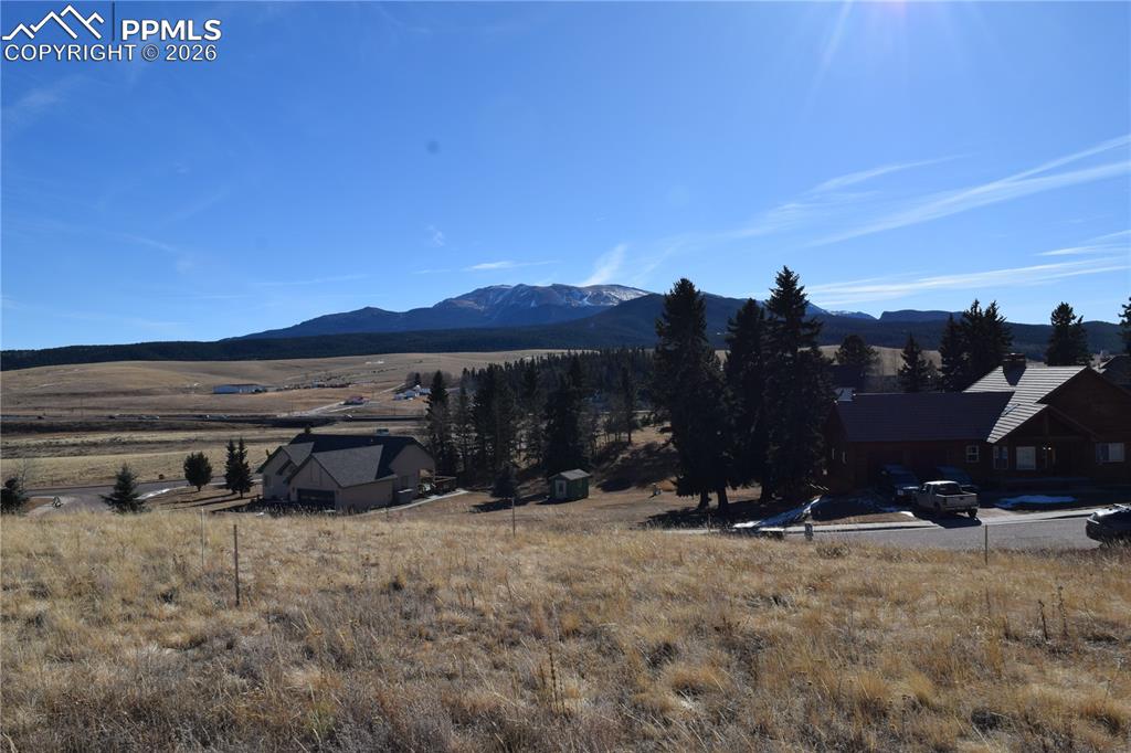 108 Allison Place Divide CO 80814