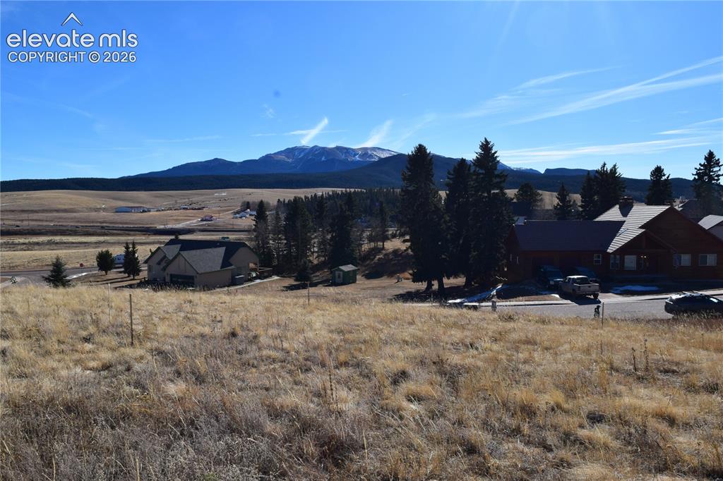 108 Allison Place Divide CO 80814