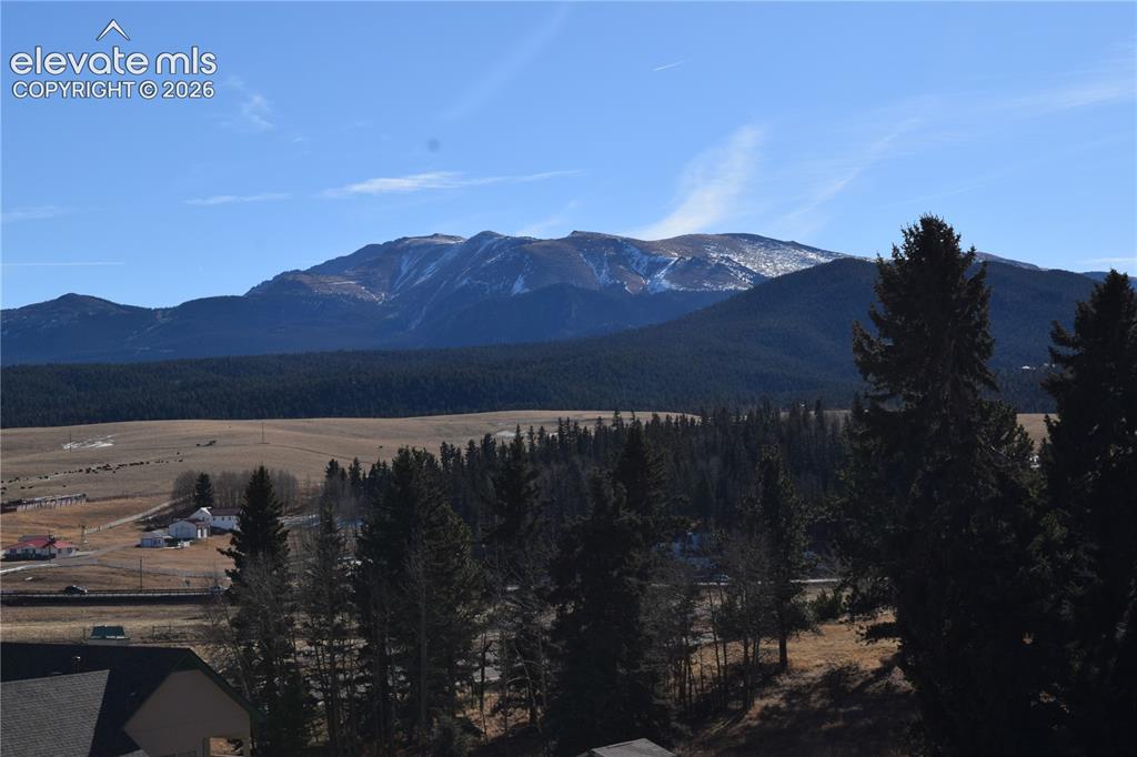 108 Allison Place Divide CO 80814