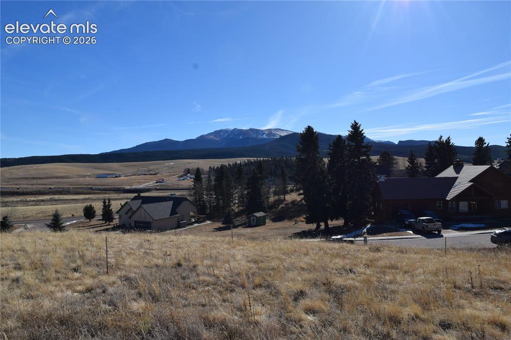 108 Allison Place Divide CO 80814
