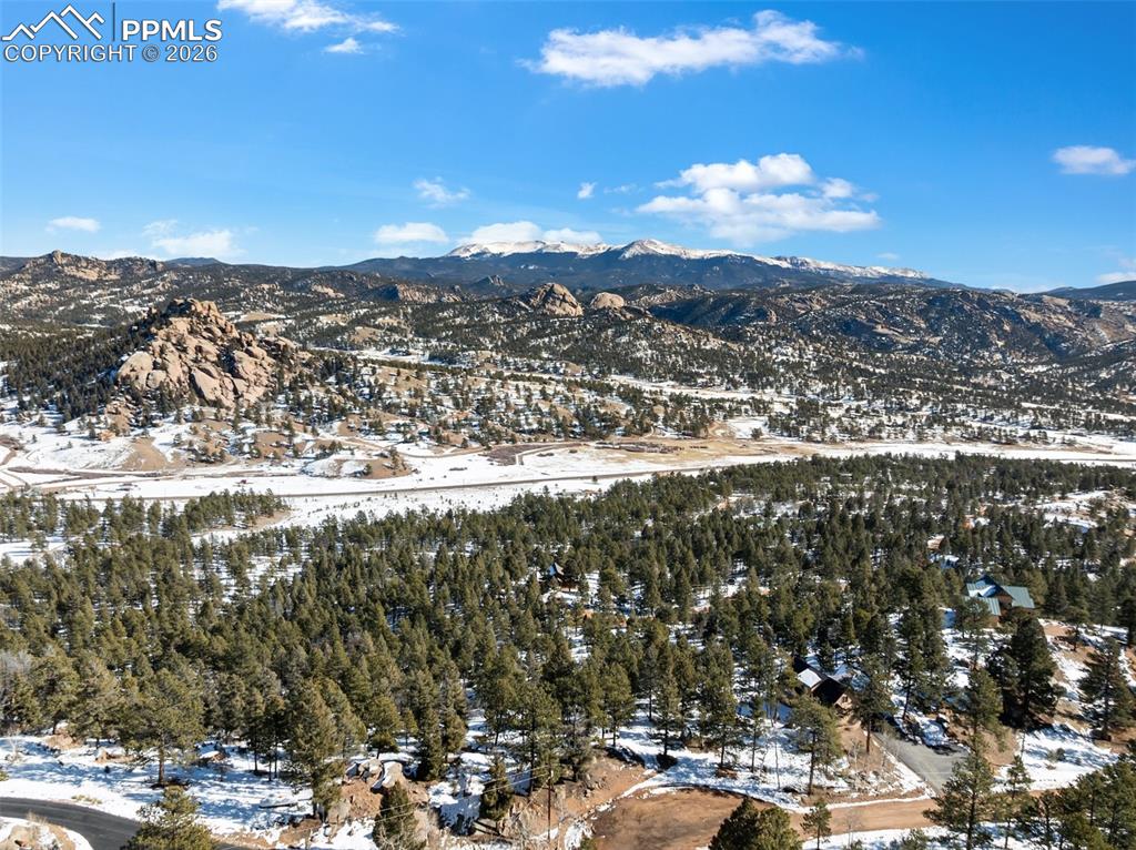 Conifer Circle Florissant CO 80816