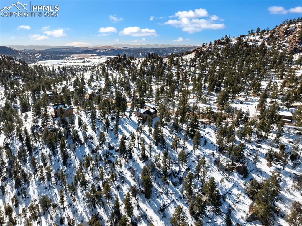 Conifer Circle Florissant CO 80816