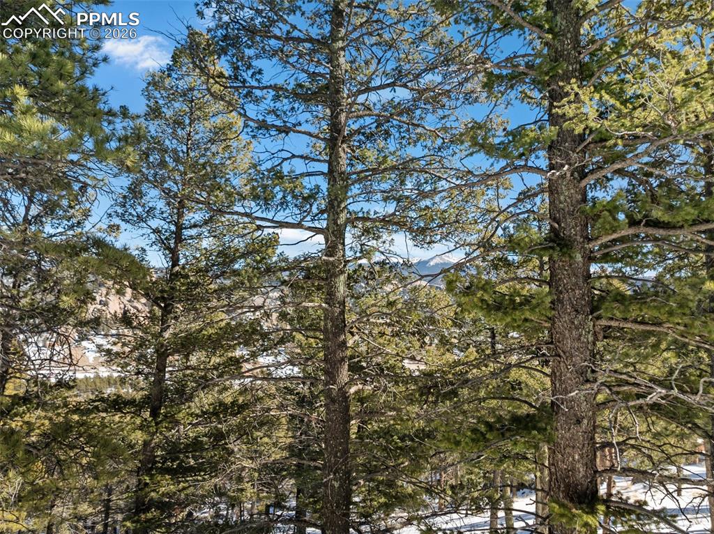 Conifer Circle Florissant CO 80816