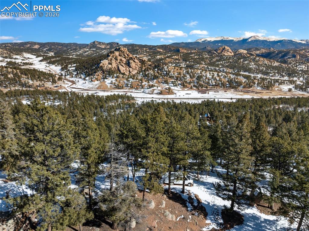 Conifer Circle Florissant CO 80816