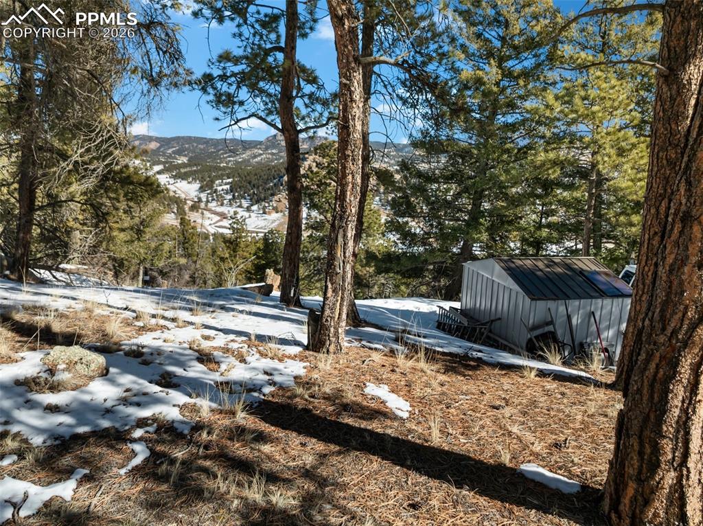 Conifer Circle Florissant CO 80816