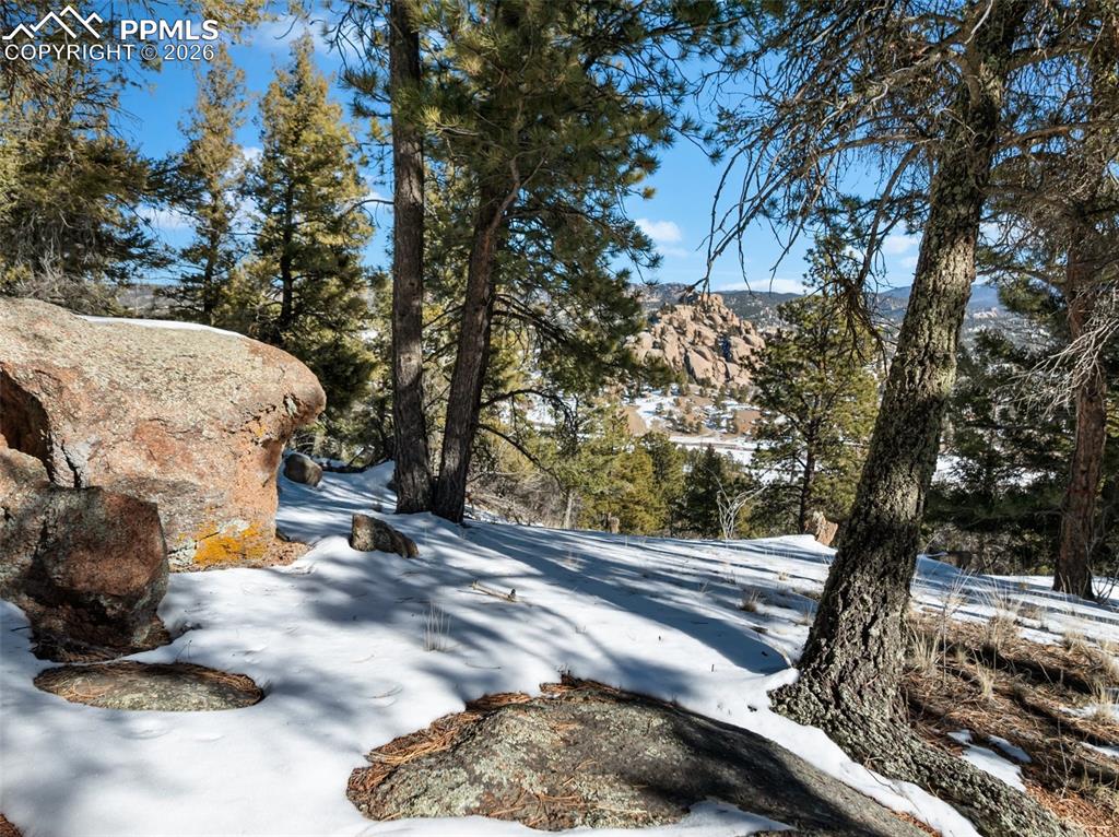 Conifer Circle Florissant CO 80816