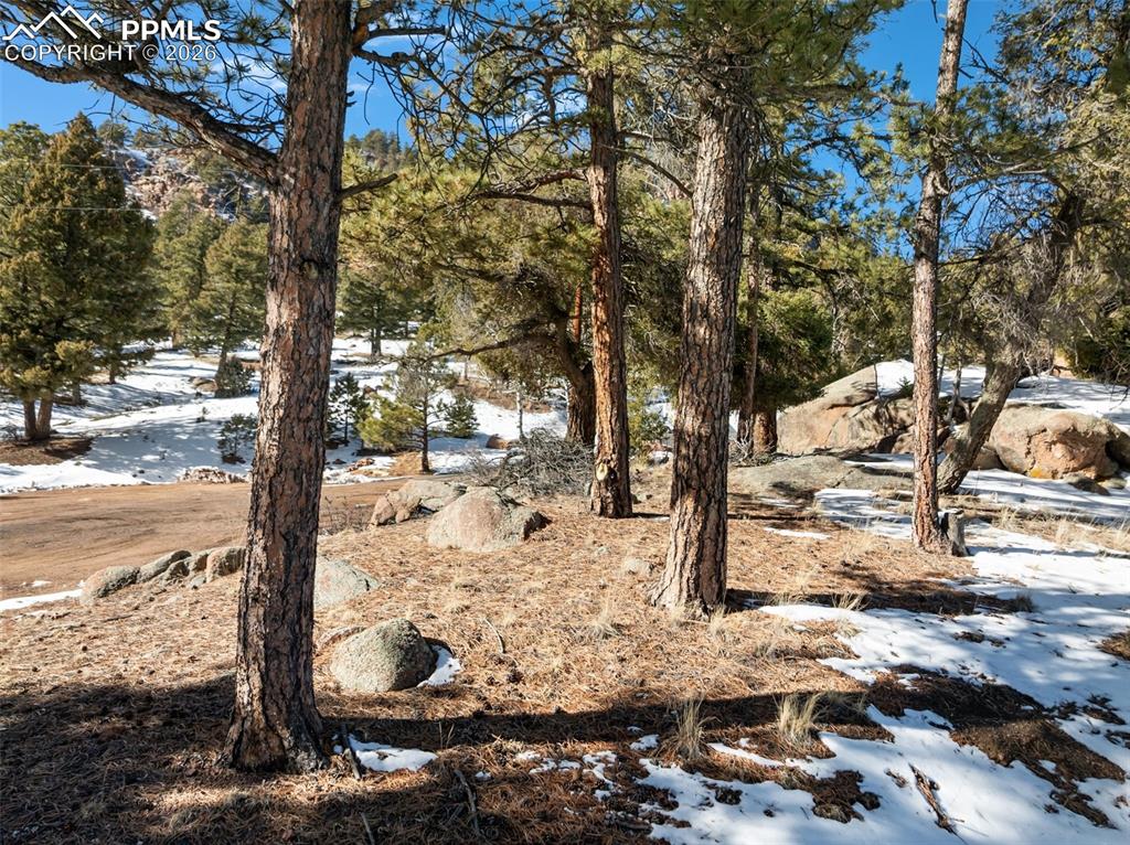 Conifer Circle Florissant CO 80816