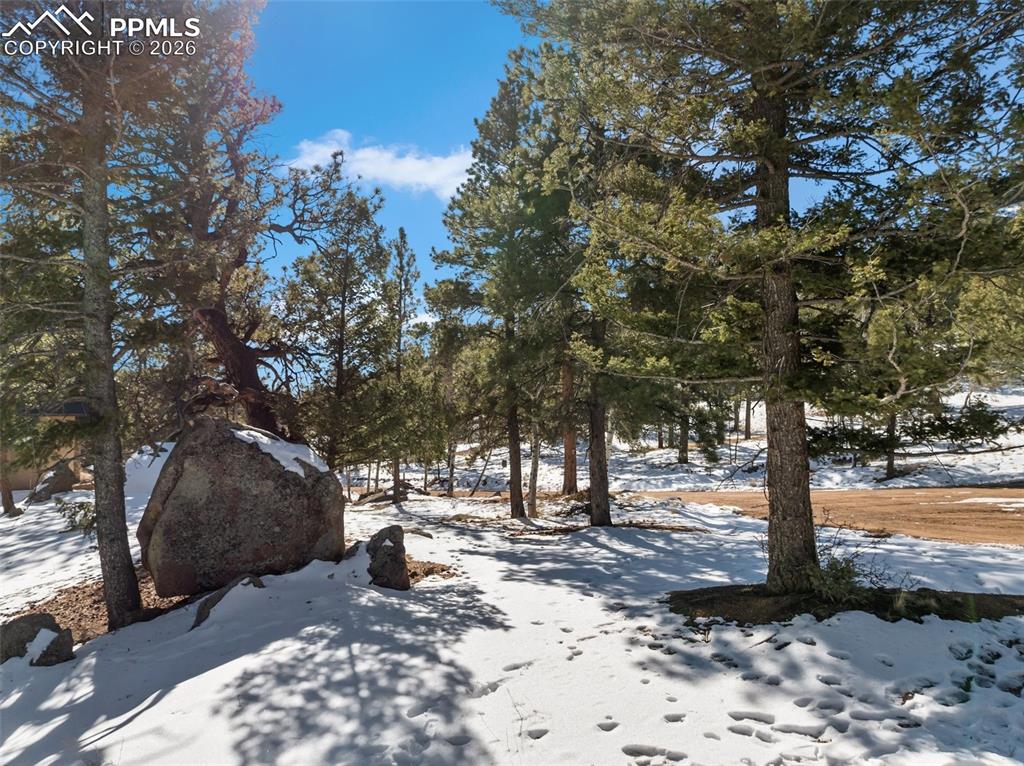 Conifer Circle Florissant CO 80816
