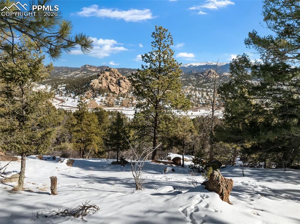 Conifer Circle Florissant CO 80816