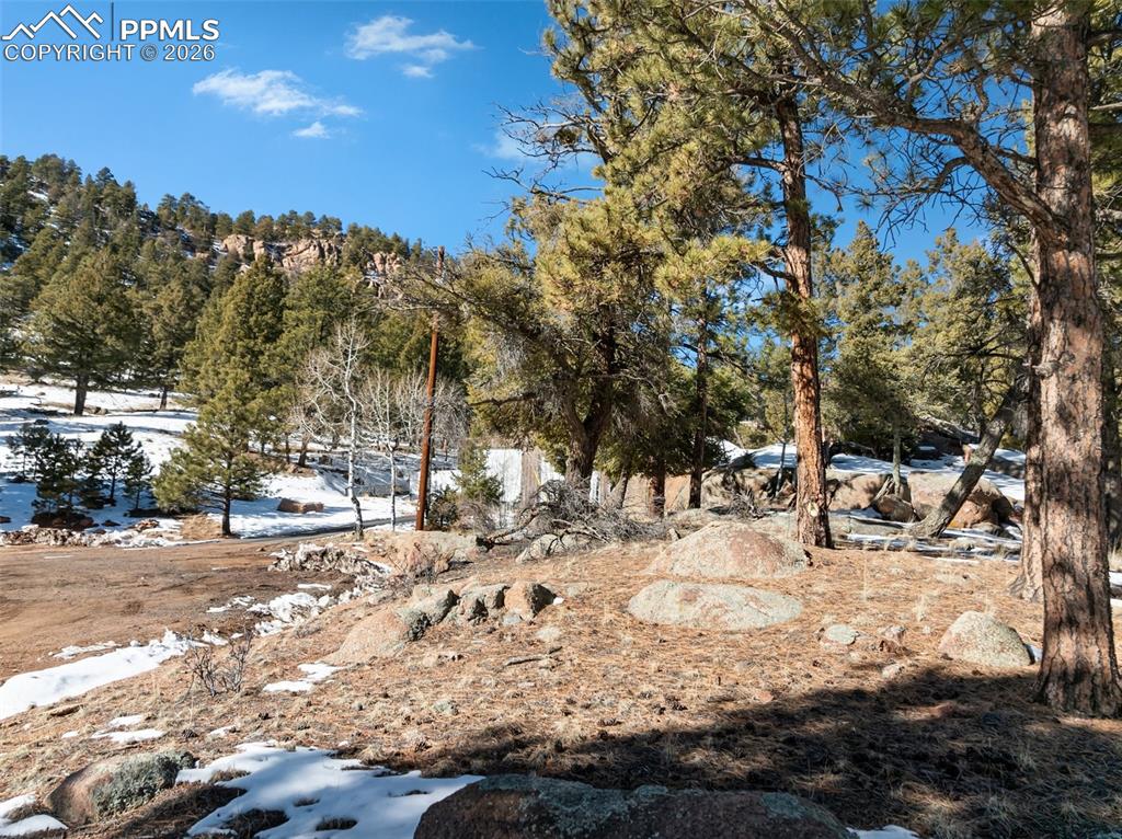 Conifer Circle Florissant CO 80816