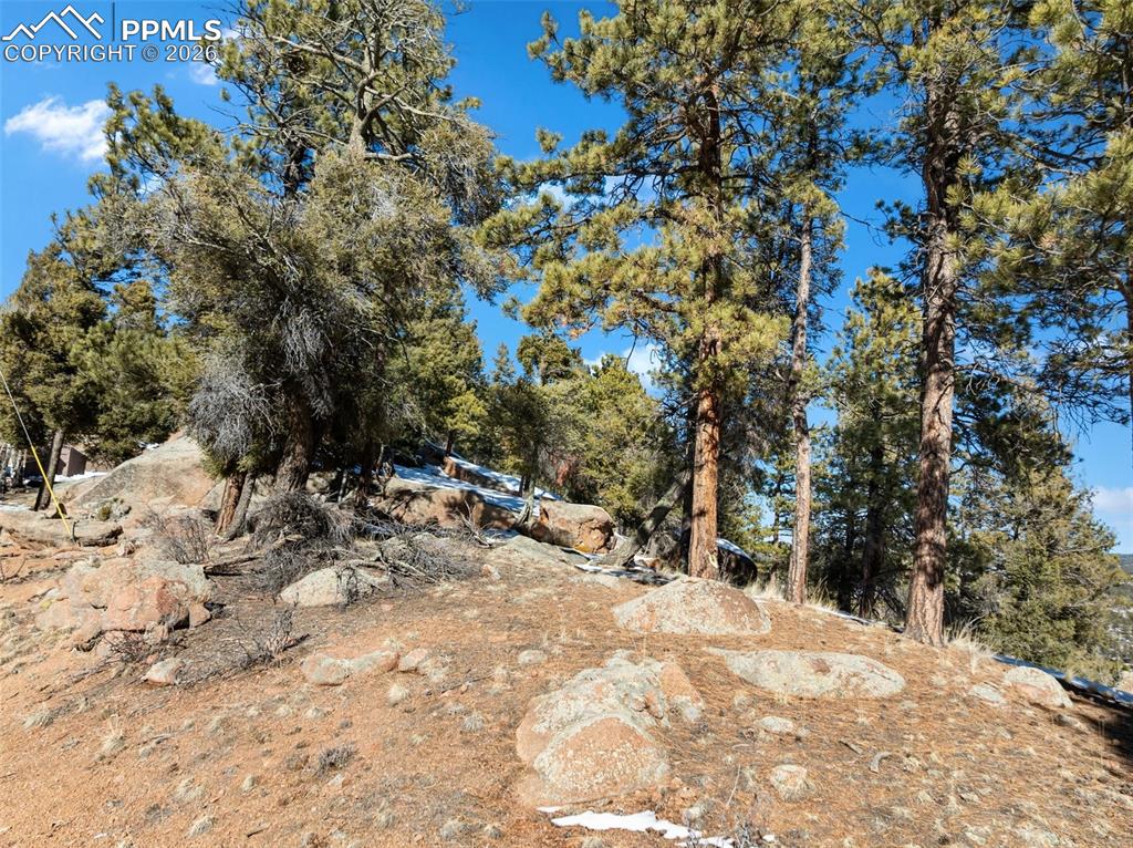 Conifer Circle Florissant CO 80816