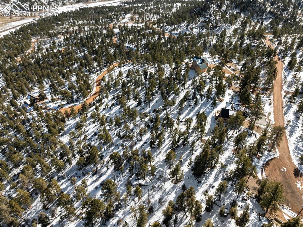 Conifer Circle Florissant CO 80816