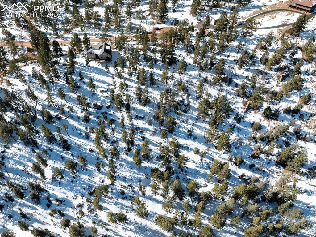 Conifer Circle Florissant CO 80816