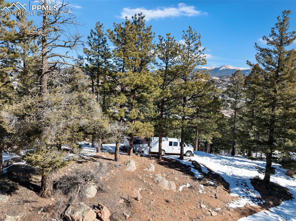 Conifer Circle Florissant CO 80816