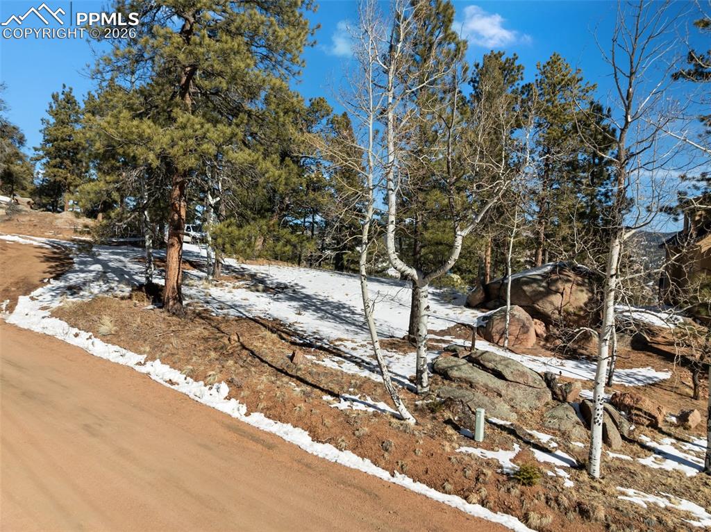 Conifer Circle Florissant CO 80816