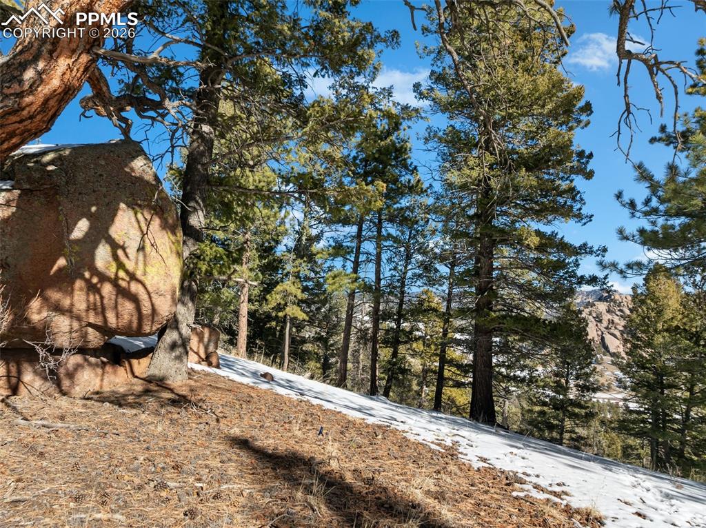 Conifer Circle Florissant CO 80816
