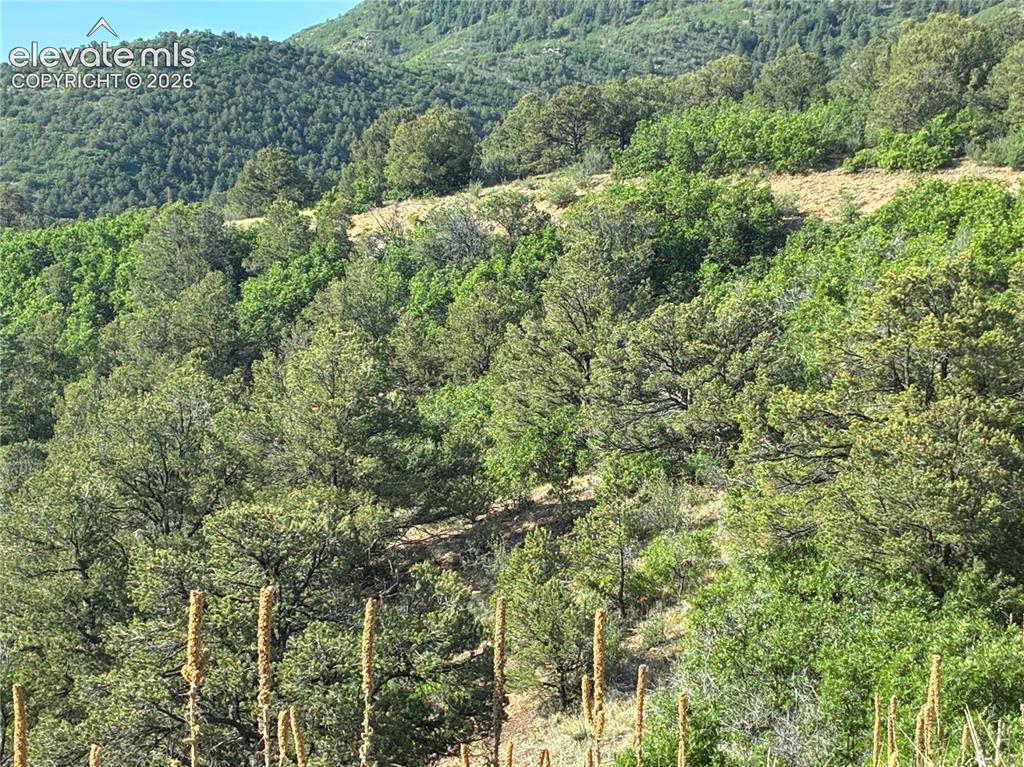 Chris Crossover Drive Canon City CO 81212