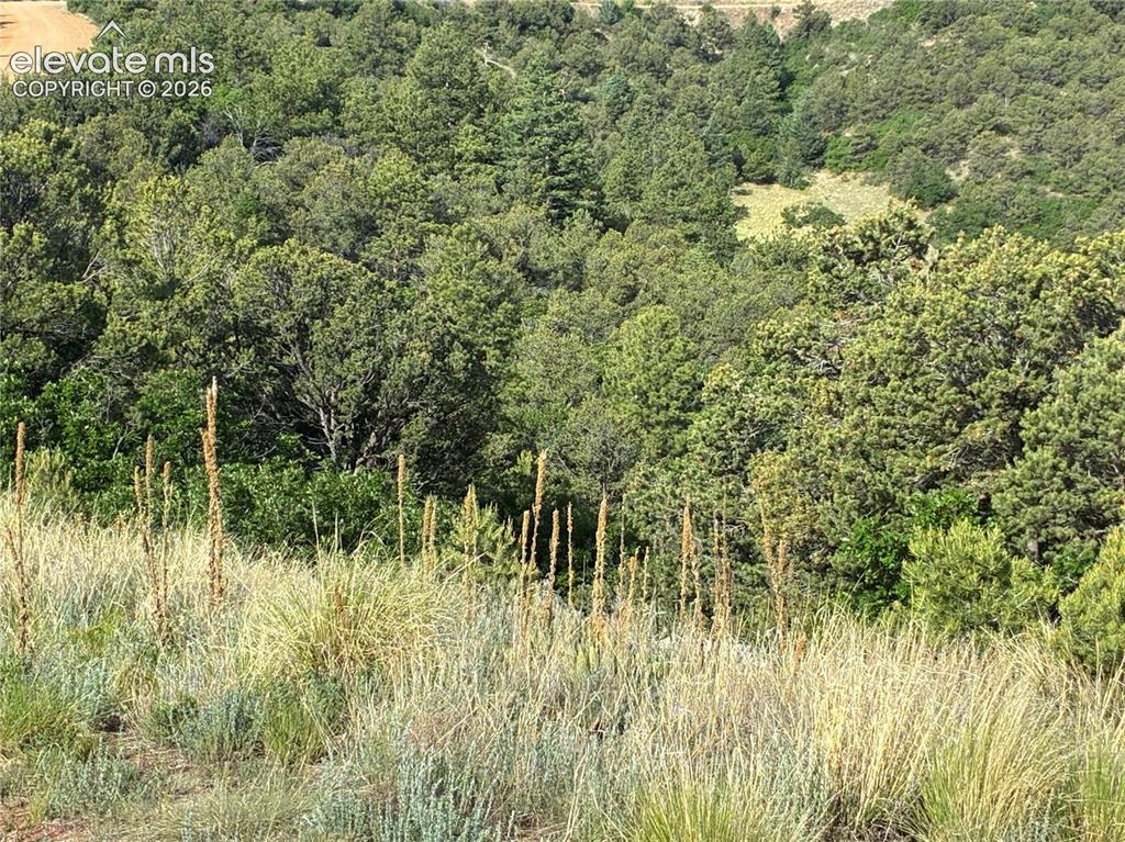Chris Crossover Drive Canon City CO 81212