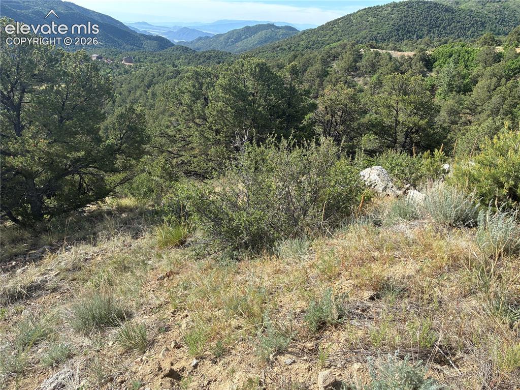 Chris Crossover Drive Canon City CO 81212