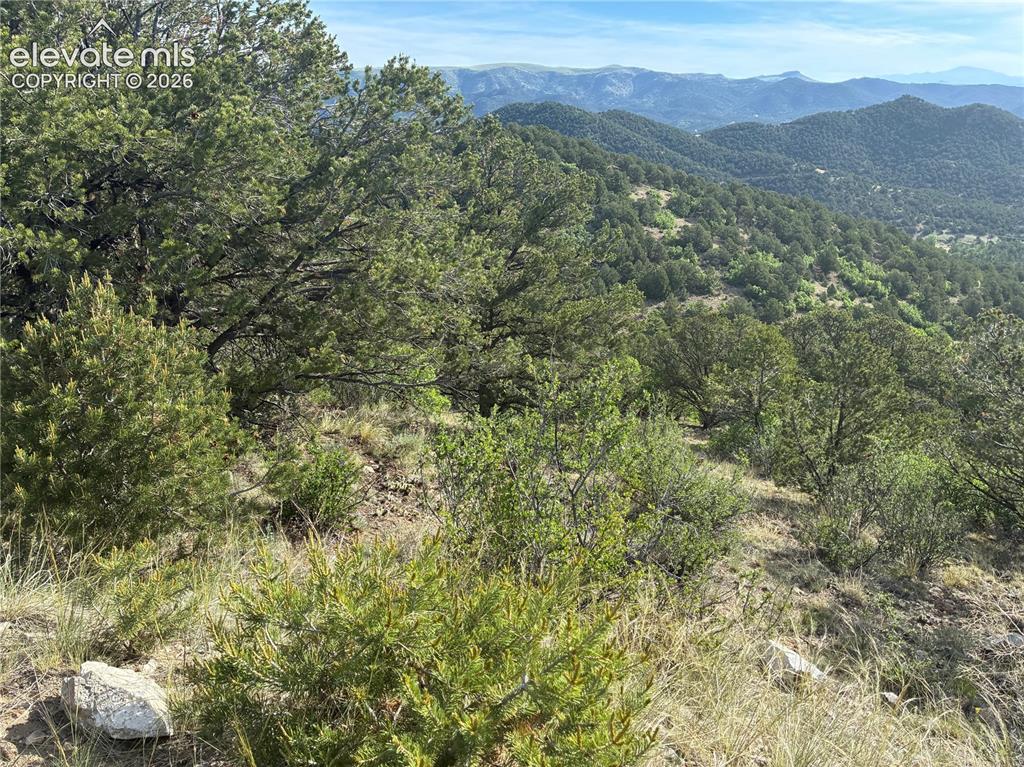 Chris Crossover Drive Canon City CO 81212