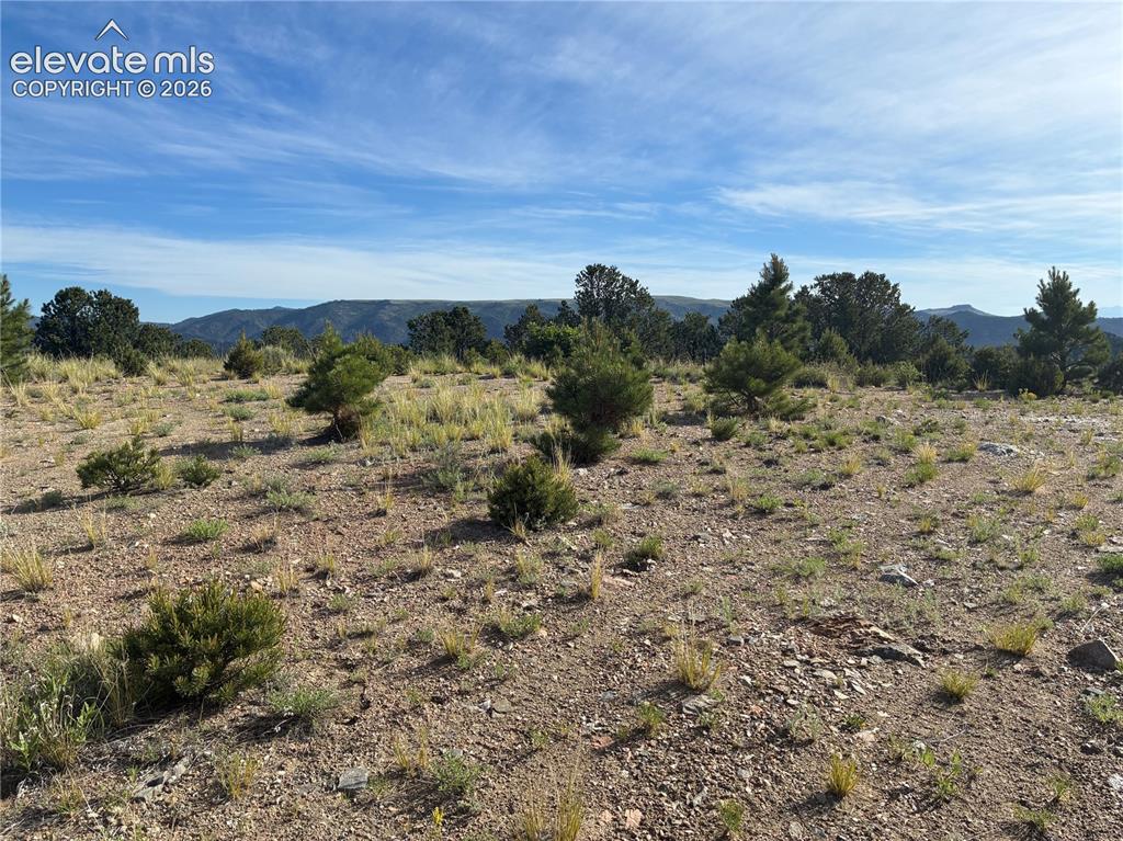 Chris Crossover Drive Canon City CO 81212