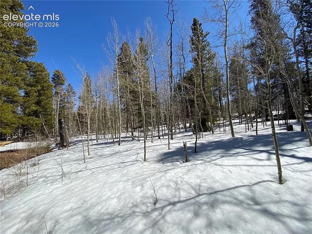 2202 High Creek Road Fairplay CO 80440