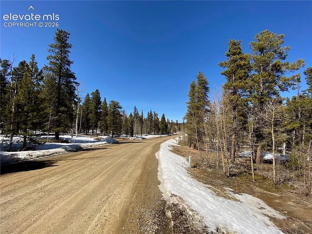 2202 High Creek Road Fairplay CO 80440