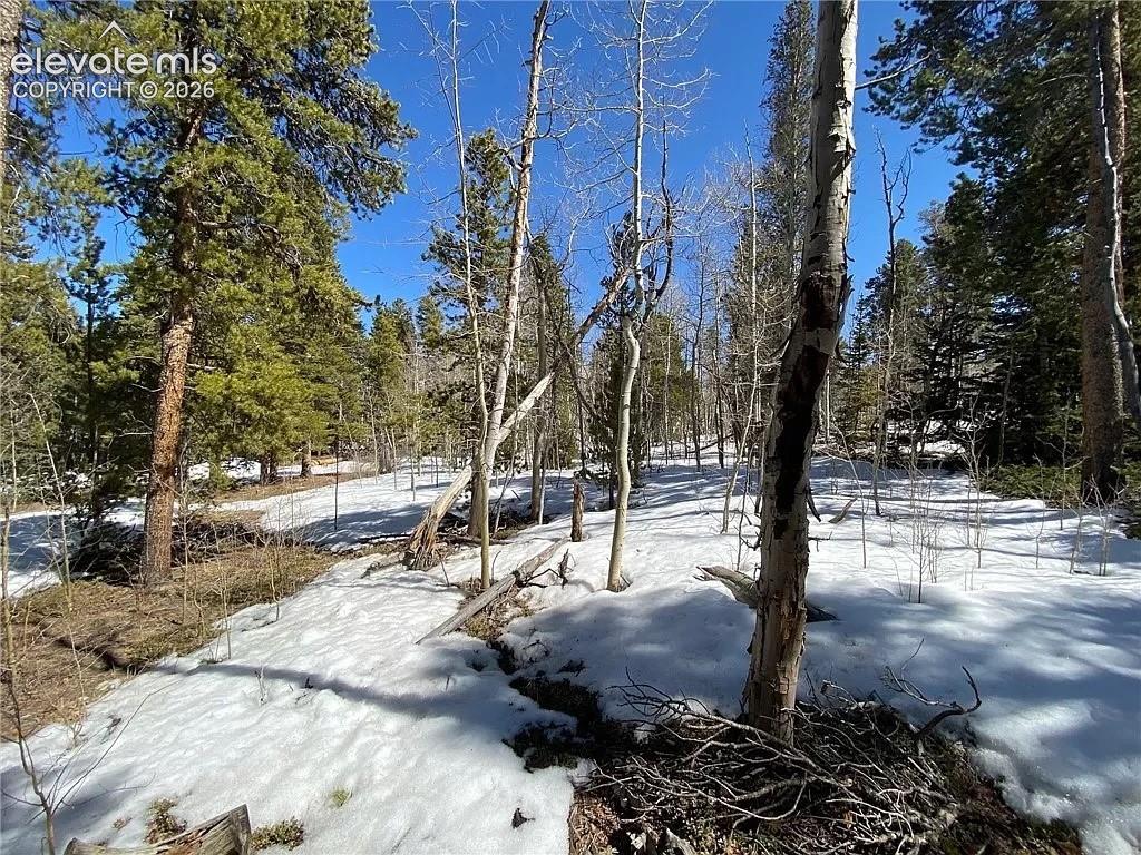 2202 High Creek Road Fairplay CO 80440