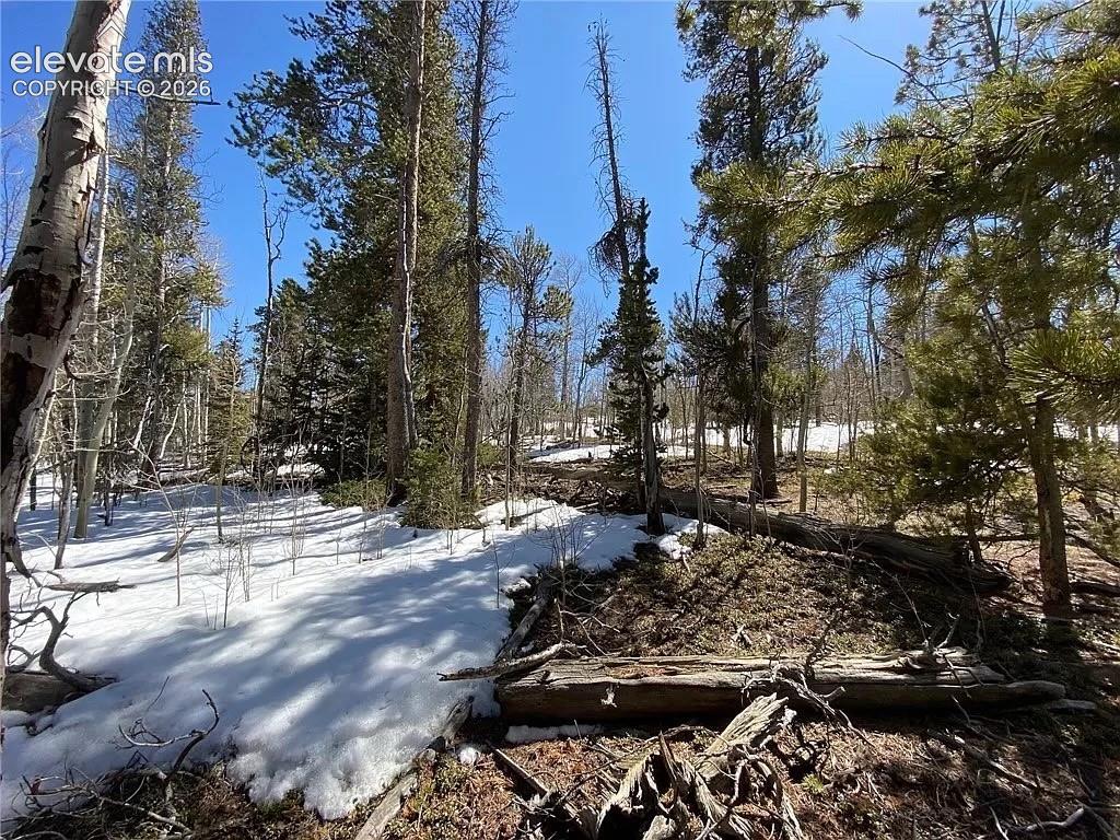 2202 High Creek Road Fairplay CO 80440