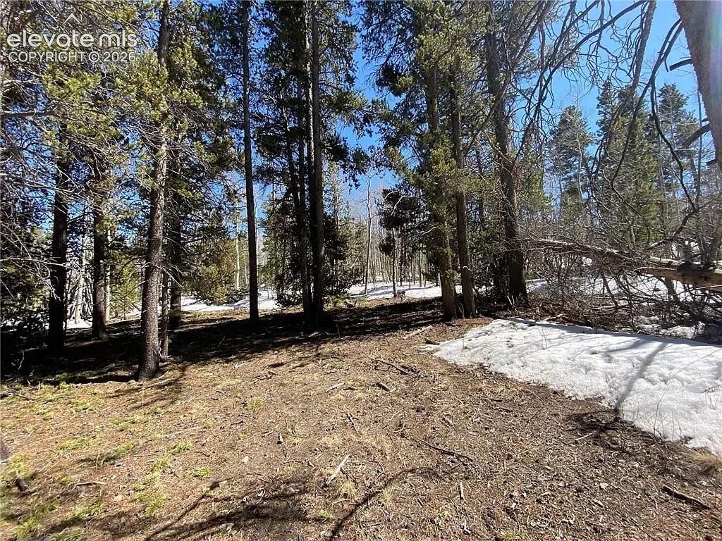 2202 High Creek Road Fairplay CO 80440