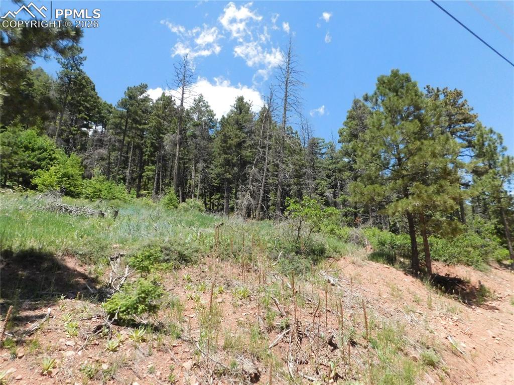 Lot 11 Woodmoor West Drive Larkspur CO 80118